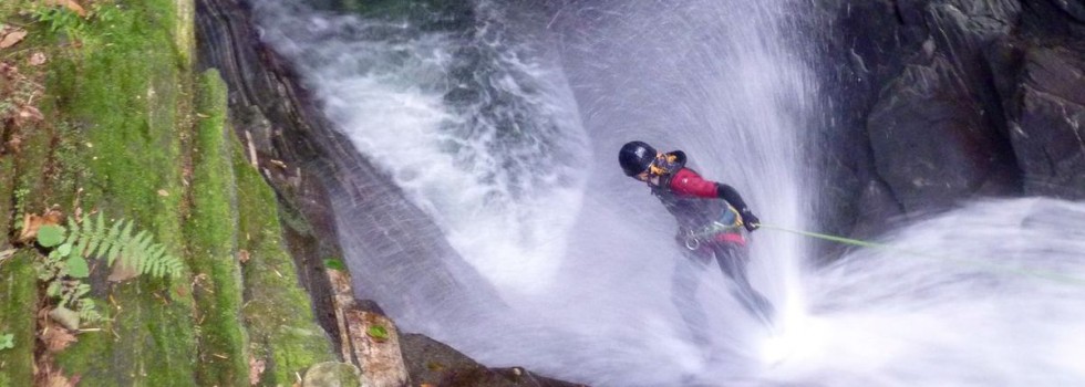 maggia